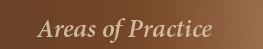 Areas of Practice